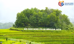 Luc Hon Golden Season Festival promises a vibrant cultural experience 