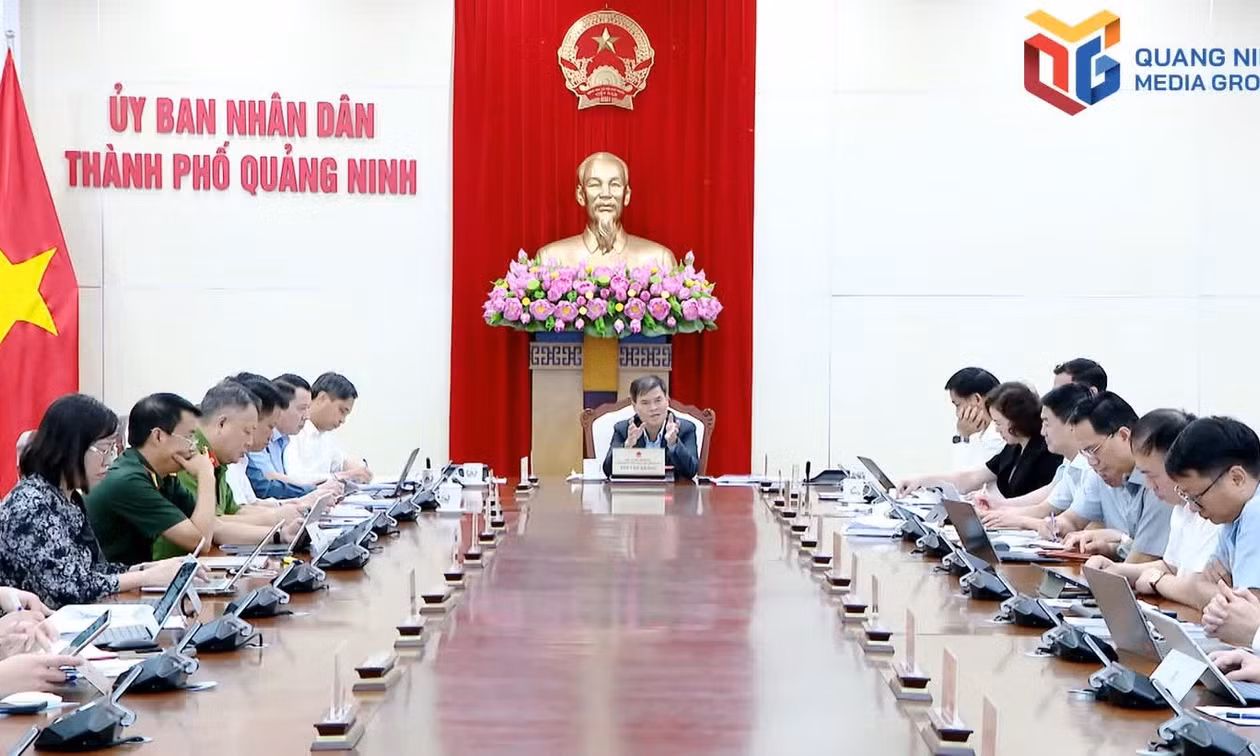 Quang Ninh City People’s Committee reviews pre-feasibility reports for key projects
