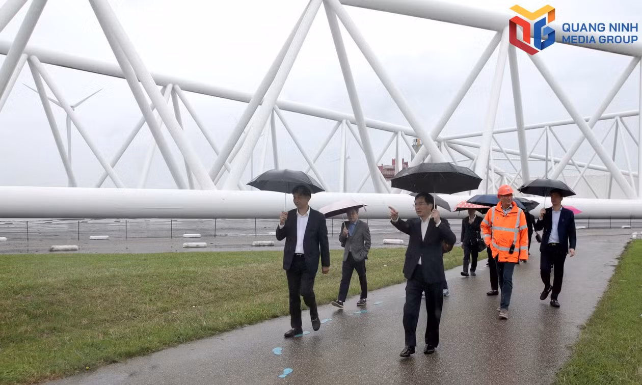 Quang Ninh promotes connectivity and investment cooperation with the Netherlands