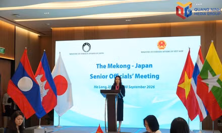 Deputy Foreign Minister Nguyen Minh Hang speaks at the Mekong-Japan Senior Officials’ Meeting.