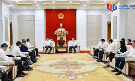 At the courtesy meeting.