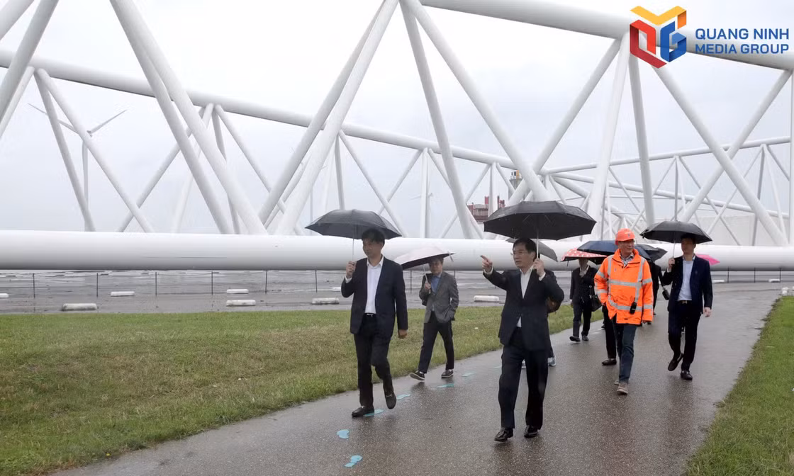Quang Ninh promotes connectivity and investment cooperation with the Netherlands