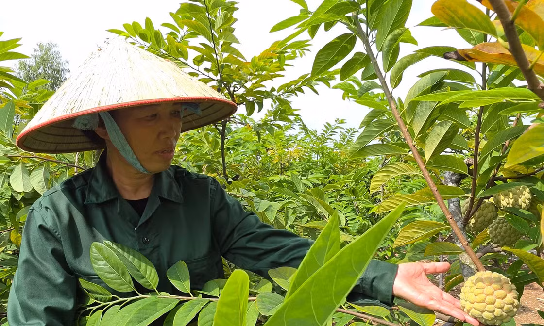 Expanding agricultural product consumption through digital platforms