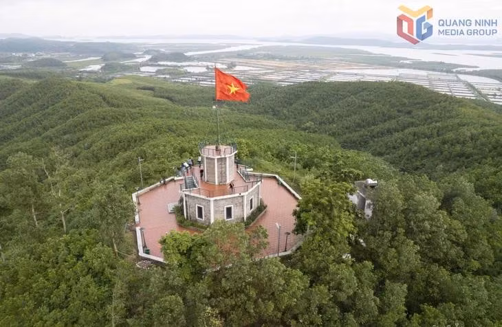 cot-co-nui-hua.jpg