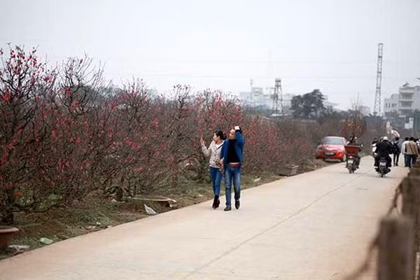 Nhat Tan also attracts many young couples, who find the blooming flowers romantic.