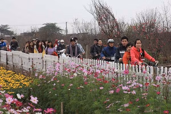 Nhat Tan village is a popular destination for Hanoians during the Tet holiday. 