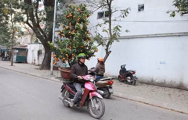 Two students admire a pot of orchids at Quang An flower market, priced at VND10 million ($480).