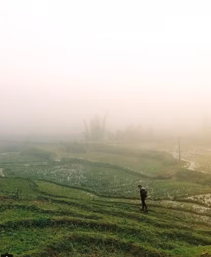  Sapa