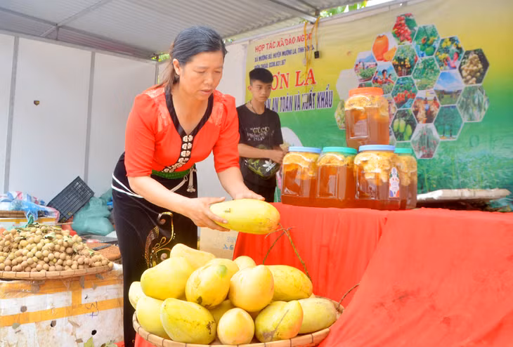 Representatives from Son La Province bring fruits and honey to the festival. 