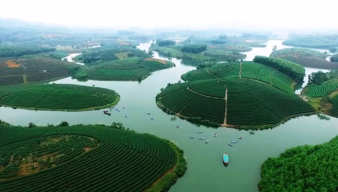 Green tea hill in Thanh Chuong district in the central province of Nghe An.