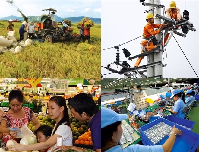 Illustrative image (Source: enternews.vn)