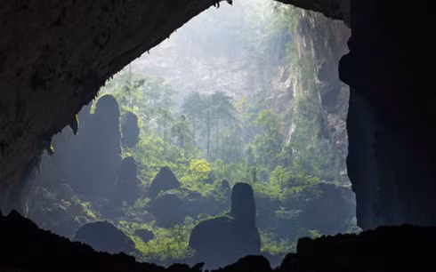 Son Doong Cave