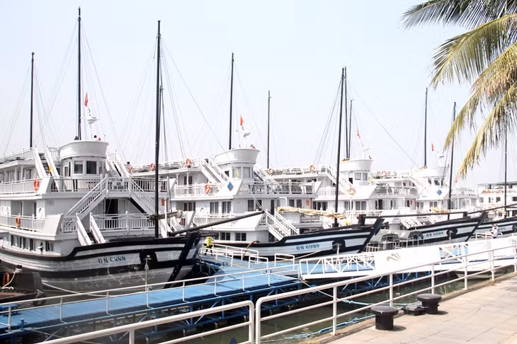 the model of “Safe self- managed tourist boats ensuring fire prevention and fighting” will be implemented by all 505 tourist boats operating on the bay