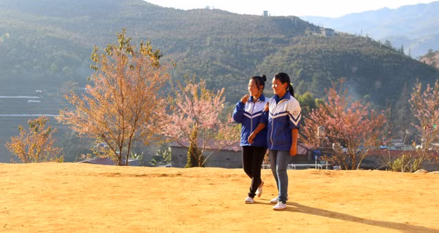 The colourful trees enhance the schools’ beautiful scenery