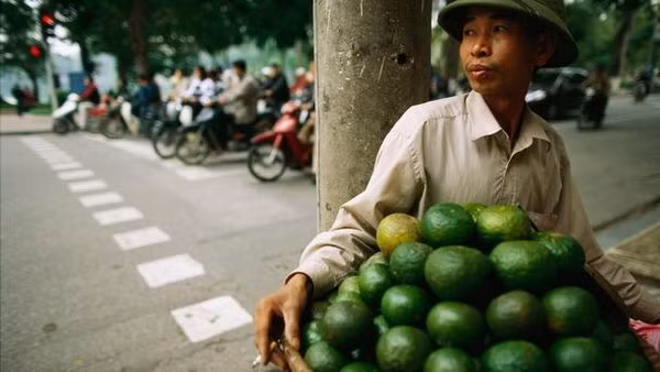 Agriculture plays an important role in Vietnam's economy, contributing more than 20% of GDP. Farmers from the suburban areas often carry vegetables to the city and vendor on the busy street.