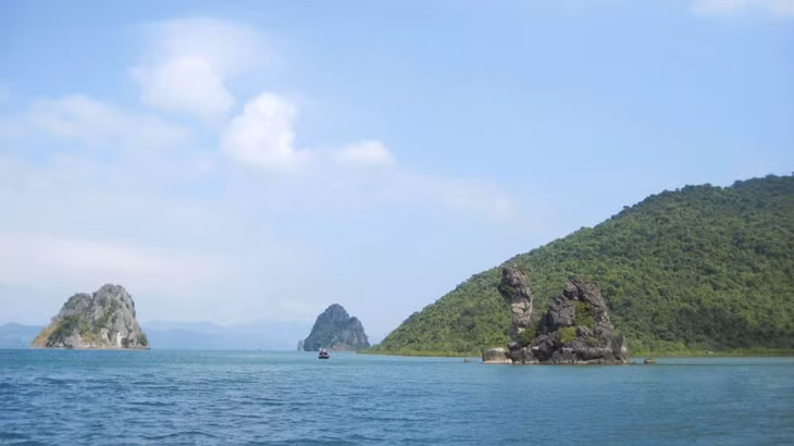 Bai Tu Long National Park is listed among 31 national parks in Vietnam.