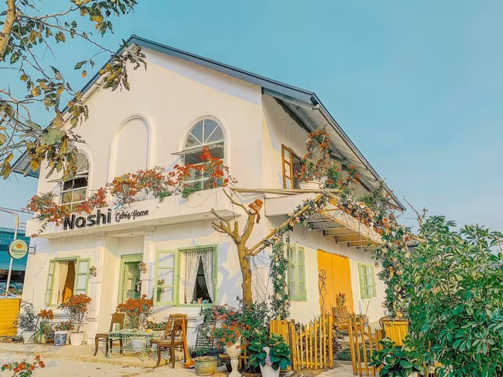 Nashi café & homestay is painted in avocado green color