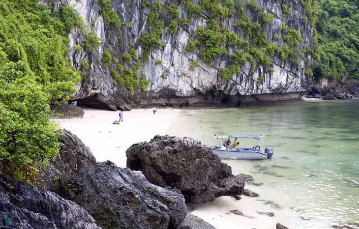 As a calm area, Kenh gulf has clear blue water and protected corals.