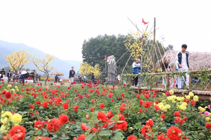 Flowers in the tourist area are in full bloom.