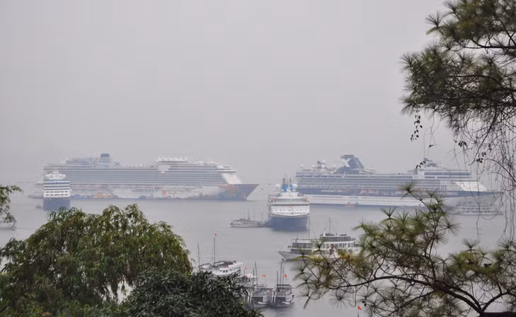 The four international cruise ships docked on Ha Long bay. 