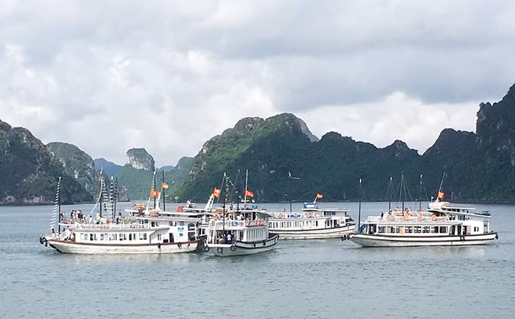 Quang Ninh sees a rise of the arrivals of luxury cruise ships bringing more international tourists to the Bay.
