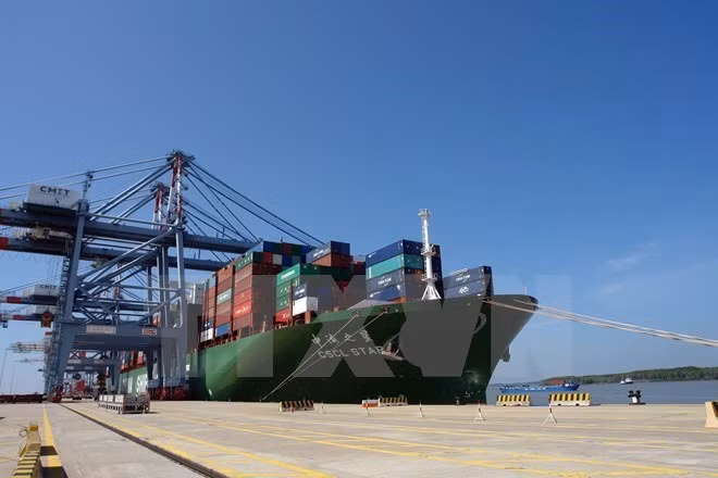 Vietnam National Shipping Lines (Vinalines) is due to sell more than 280 million shares in its initial public offering (IPO) at the Hanoi Stock Exchange in early August (Photo: VNA)