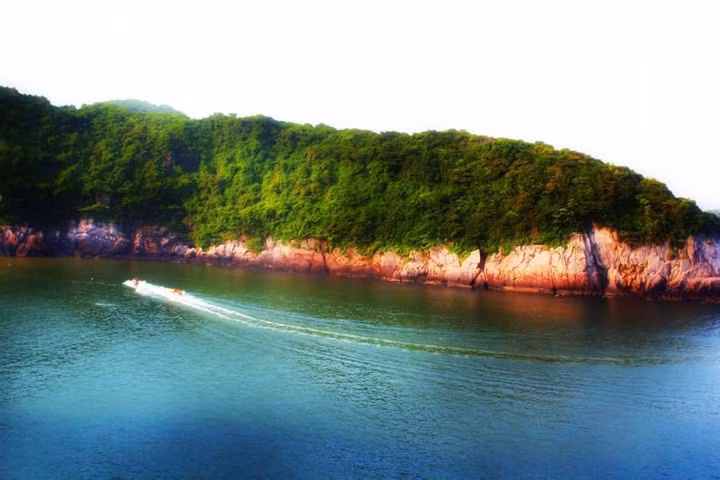  Cat Ba Island in Haiphong City is an attractive destination this July. Apart from its pristine beaches, tourists can visit the national forest with rare animals and mysterious caves.