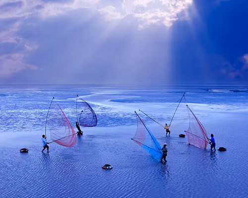 In the Mekong Delta province of Bac Lieu
