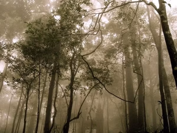Ba Vi National Park, Hanoi
