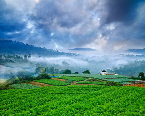 In the Central Highland city of Da Lat
