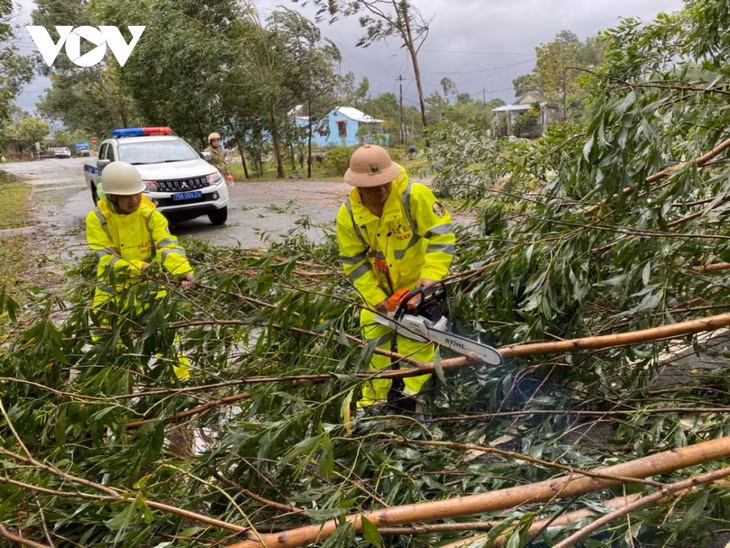 A big tree is brought down on a road in Hue city, disruptin traffic flows from both ends.