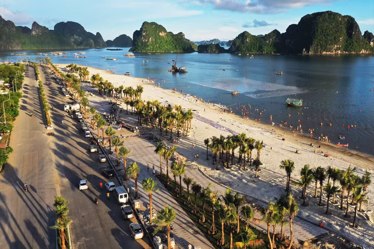 The rough surface of road has been already finished; the pavement sytem, trees and the sand have been under prompt implementation.