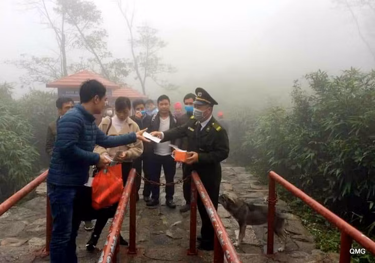 Free face masks for tourists