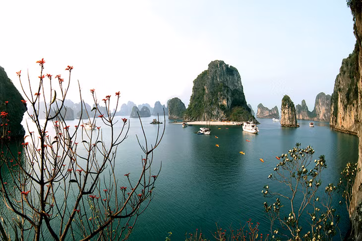 Ha Long bay (Photo by Khanh Giang-baoquangninh.com.vn)