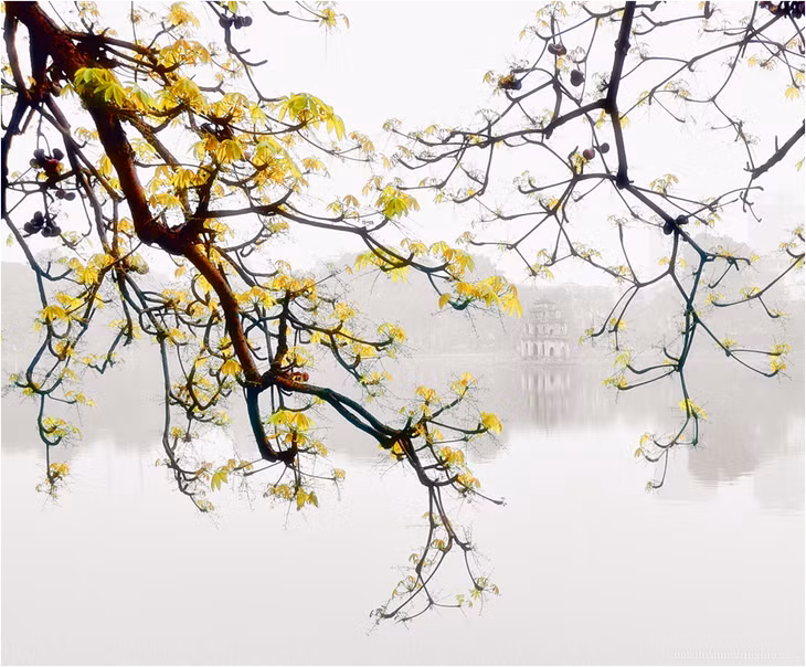Photo from VnExpress Photo Contest/Phan Van Hien