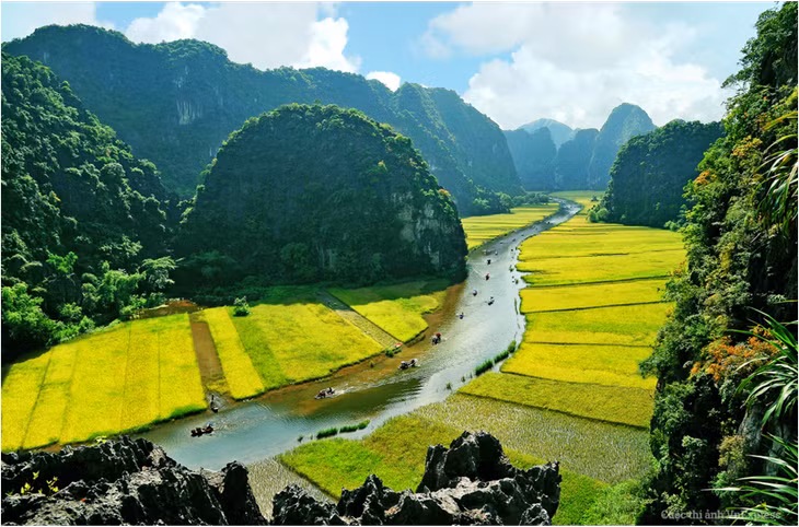Photo from VnExpress Photo Contest/Ninh Manh Thang