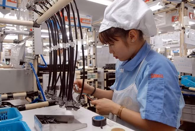 A worker at the Hanoi-based Vietnam Stanley Electric Co Ltd, a joint venture with Japan (Photo: VNA)