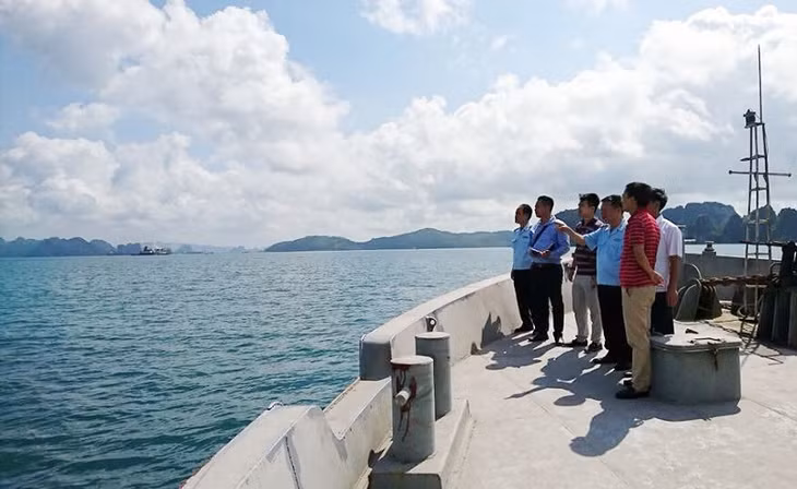 Quang Ninh Customs and investors conduct a survey at Hon Net Port (Cam Pha) 