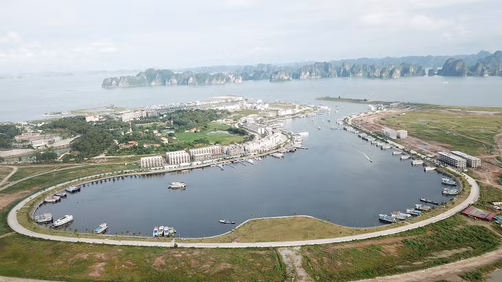Tuan Chau Island has become a appealing destination to visitors