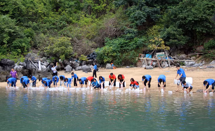 Ha Long Youth Union members release aquatic breeding into Ha Long Bay