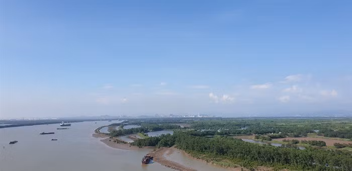Mac Dynasty Swamp is chosen to build the industrial zone.
