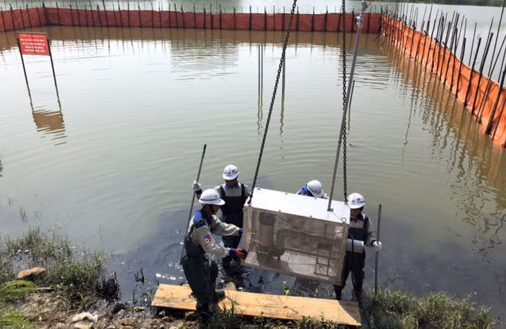 The Bakture technology is used to treat water in Hung Thang reservoir, Ha Long city. (Photo: baotainguyenmoitruong.vn)