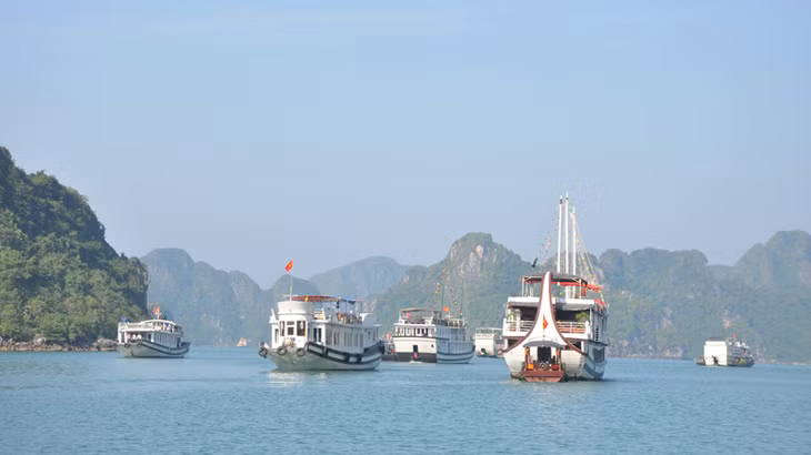 Tourist ships on Ha Long Bay. (Photo by baoquangninh.com.vn)