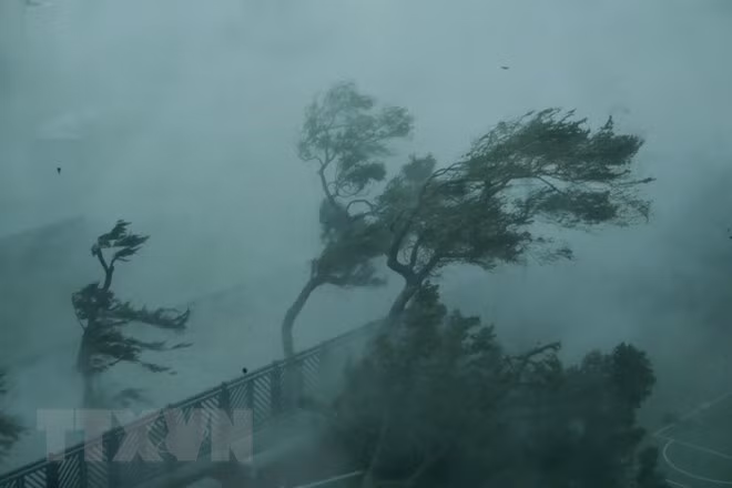 Typhoon Mangkhut brings along strong wind (Photo: Xinhua/VNA)