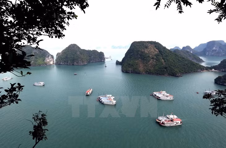 Ha Long Bay has a total area of 1,553 square kilometres, including 1,969 large and small islands, of which 989 are named 