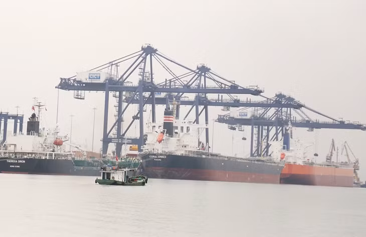 The Cai Lan International Container Terminal