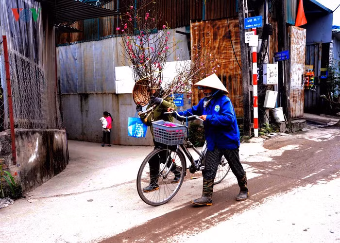Many peach branches are displayed for sale along the road to Nhat Tan flower garden.