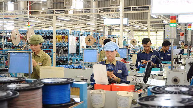 Vietnamese businesses are actively integrating into the international market. 