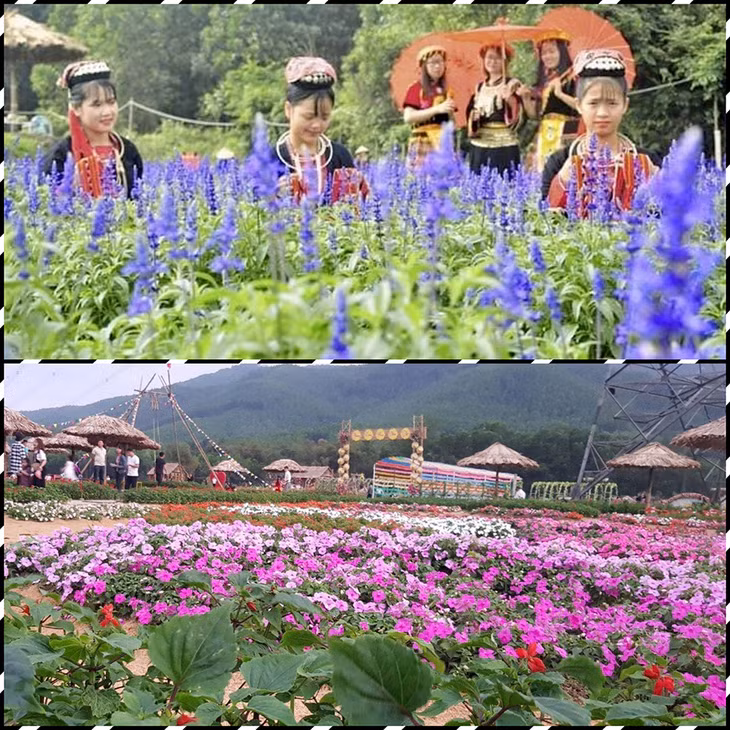  As of Feb. 9, the relic has served 138,158 holidaymaker arrivals, earning VND5.14 billion, up 14% compared to 2018.