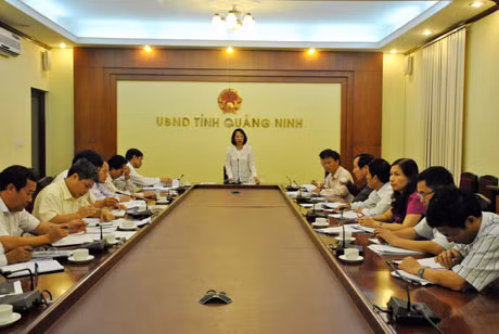 Mrs Vu Thi Thu Thuy, vice-chairwomen of the QNPPC chaired the meeting